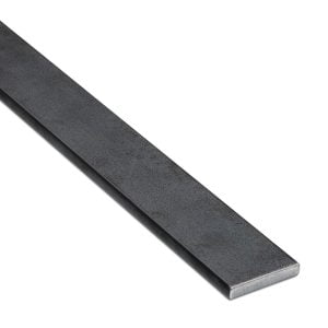 PLETINA 100X10MM (47.10)